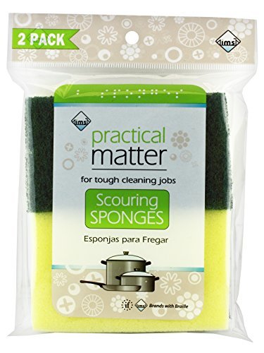 IMS Trading Scouring Sponge