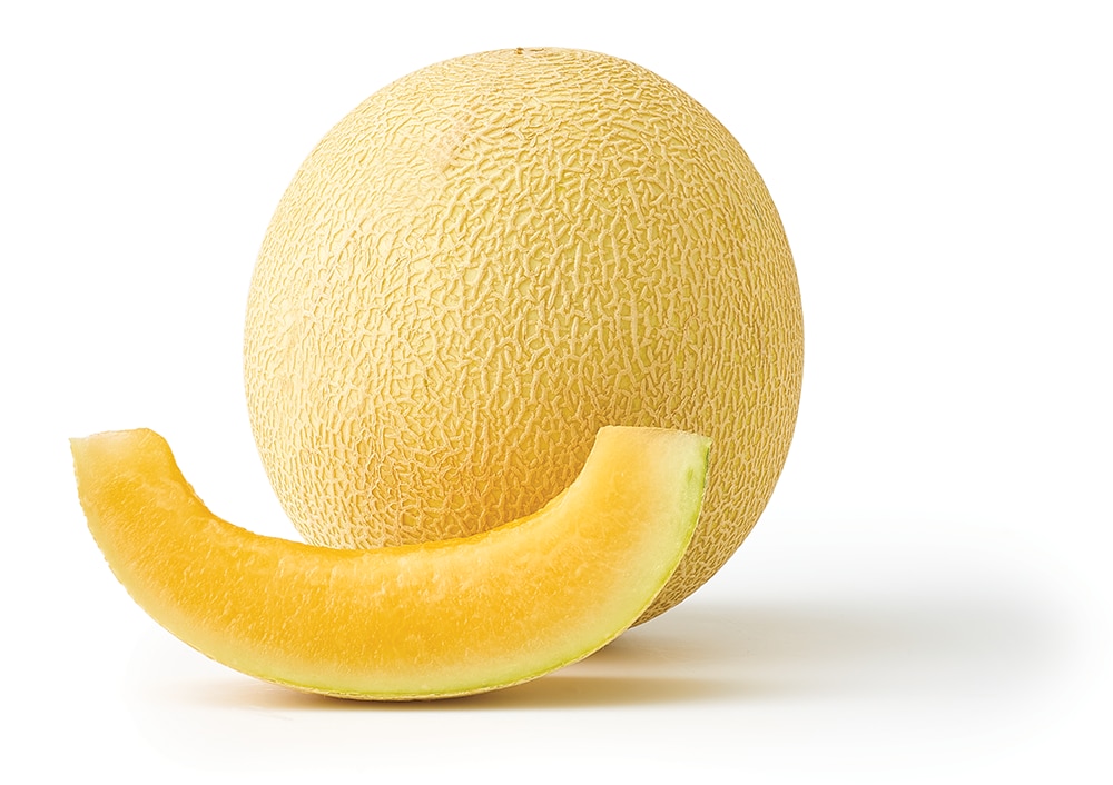 Fresh Summer Kiss Melon