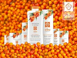 Sea Buckthorn Body Cream 1x6 Fluid Oz Each By SIBU BEAUTY