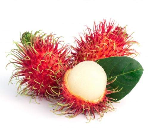 Fresh Rambutan