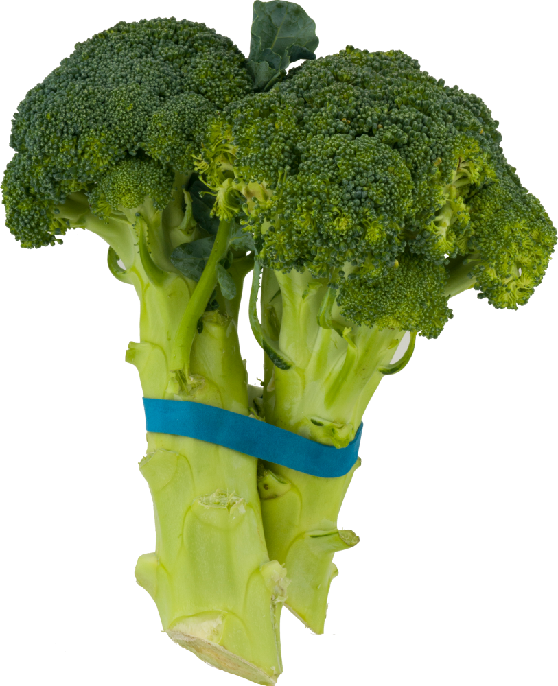 Josie's Organics Organic Broccoli