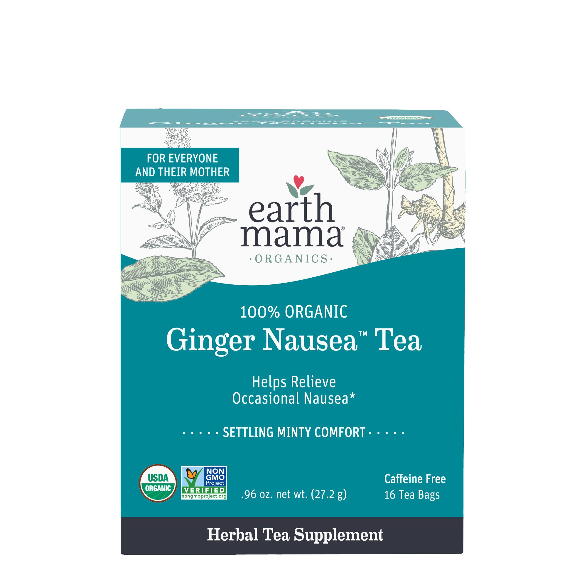 Earth Mama Angel Baby Organic Morning Wellness Tea - 16ct