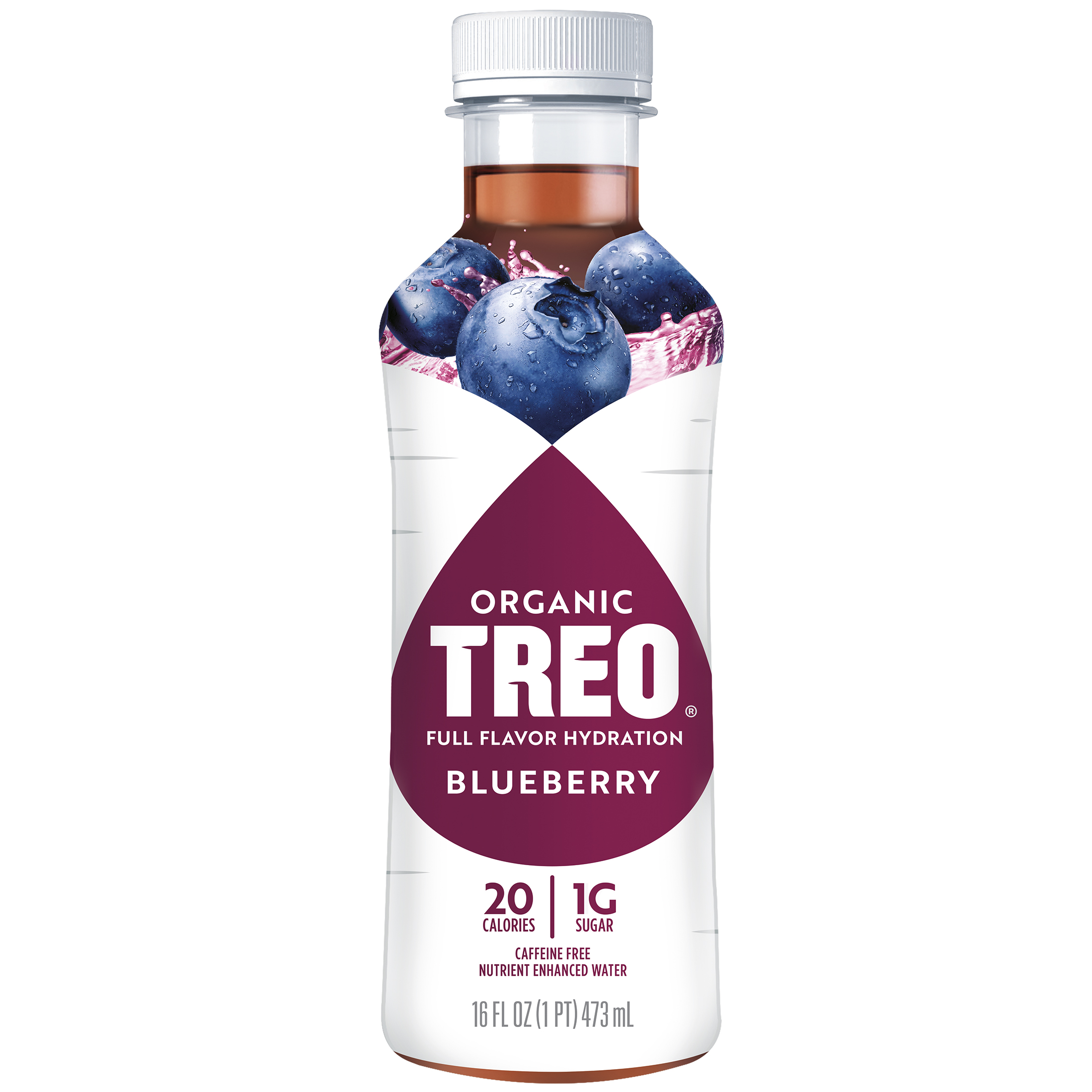Treo Organic Fruit & Birch Blueberry Water - 16 Fl Oz Bottle