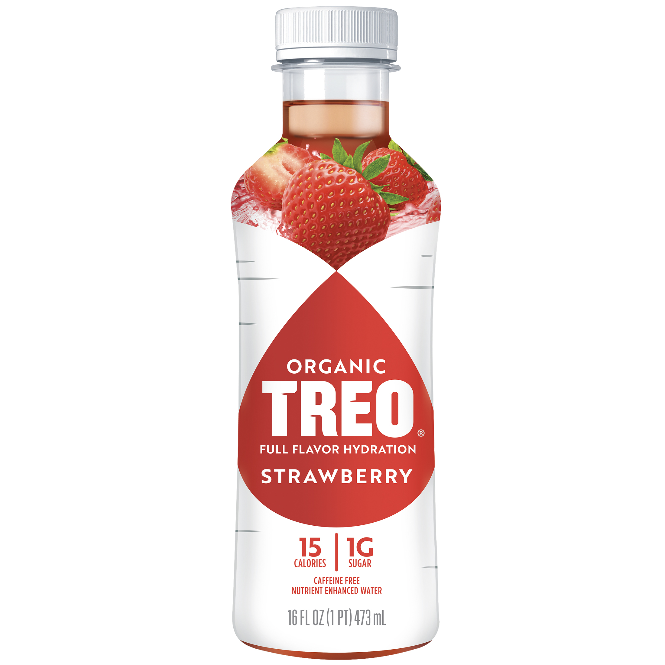 Treo Organic Fruit & Birch Strawberry Water - 16 Fl Oz Bottle