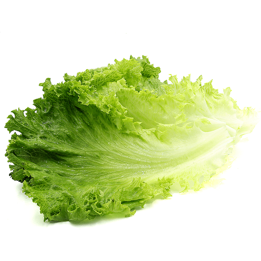 Lettuce Iceberg