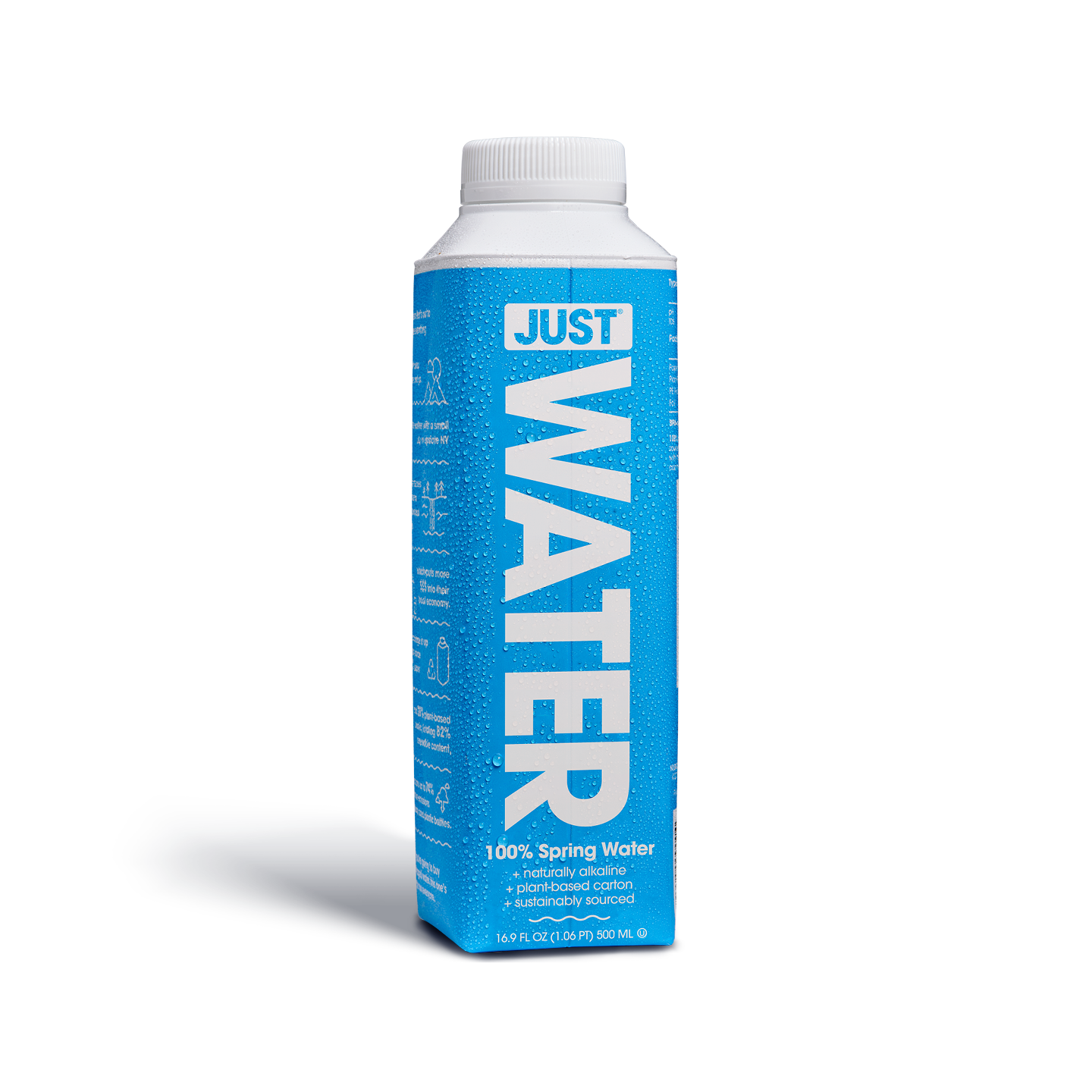 Just Water 100% Spring 16.9 Fl Oz
