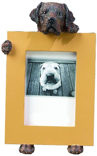 E&S Pets Chocolate Labrador Retriever 2.5" X 3.5" Picture Frame