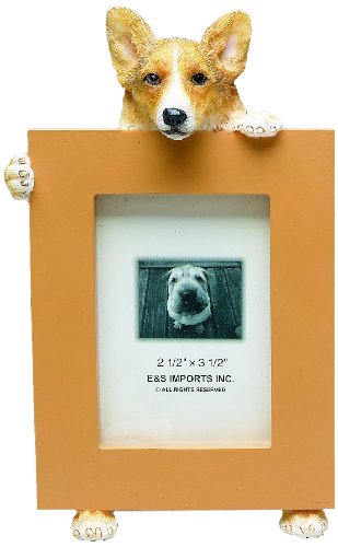 E&S Pets Welsh Corgi Picture Frame Holds Your Favorite 2.5 By 3.5 Inch Photo, Hand Painted Realistic Looking Welsh Corgi Stands 6 Inches Tall Holding Beautifully Crafted Frame, Unique And Special Welsh Corgi Gifts For Welsh Corgi Owners