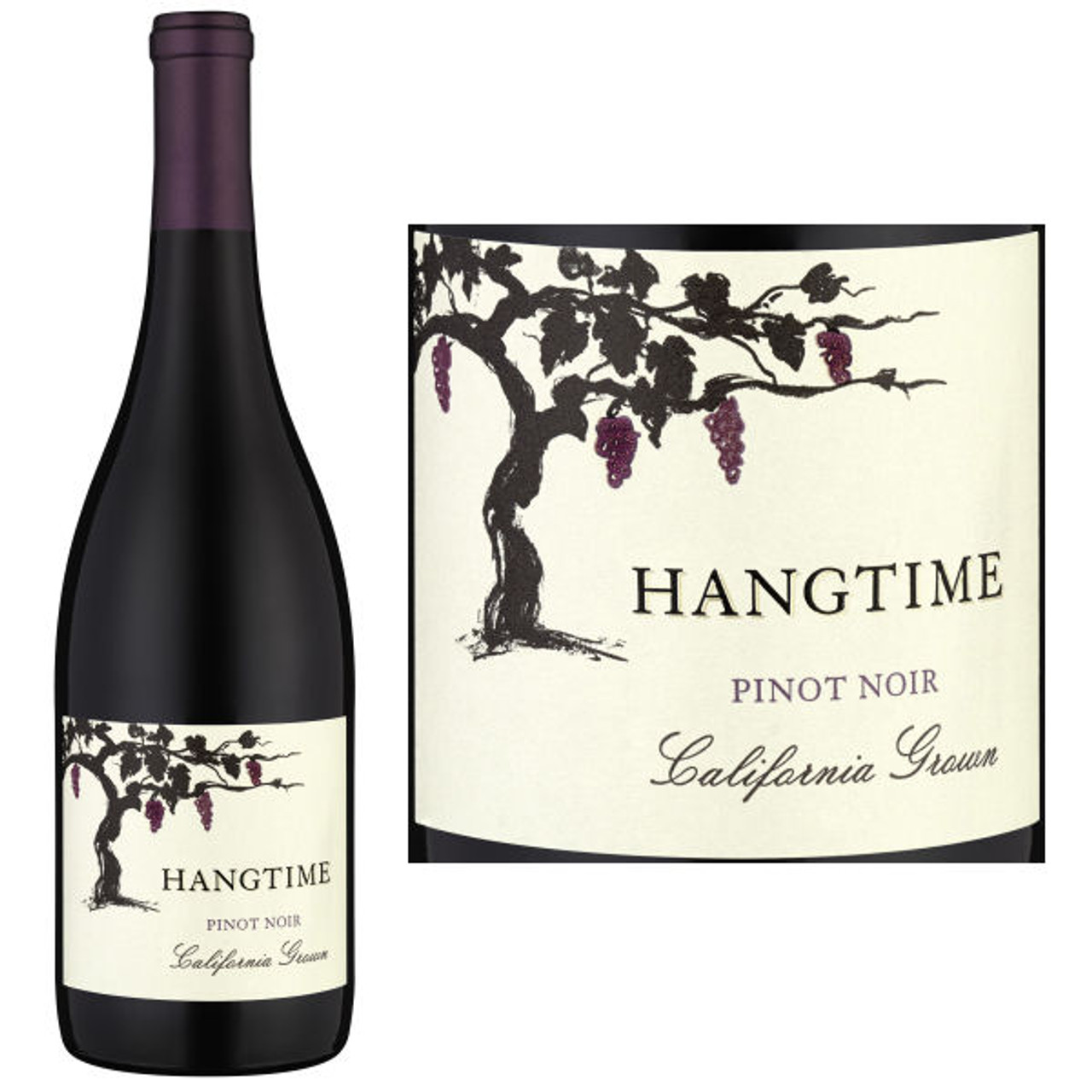 Hangtime Pinot Noir California - 750ML