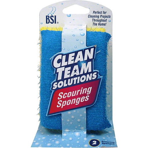 BSI Clean Team Solutions Scouring Sponges