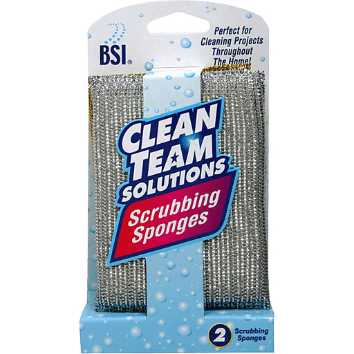 BSI Clean Team Solutions Scrubbing Sponges