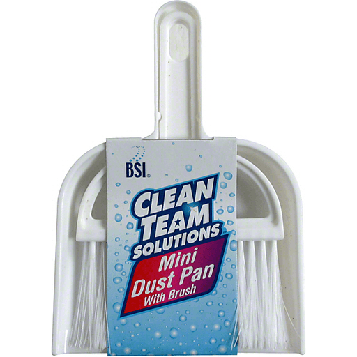 BSI Clean Team Solutions Mini Dust Pan With Brush
