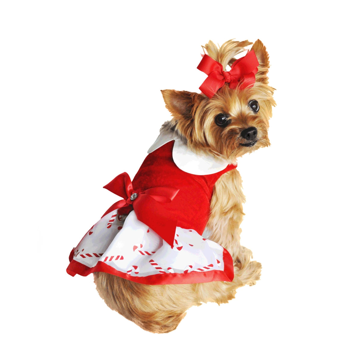 Doggie Design Holiday Candy Cane Harness Dress