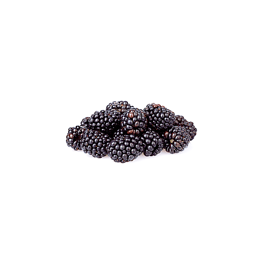 Nature's Partner Blackberry Blackberries