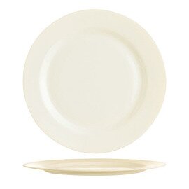 Arcoroc Plate INTENSITY UNI