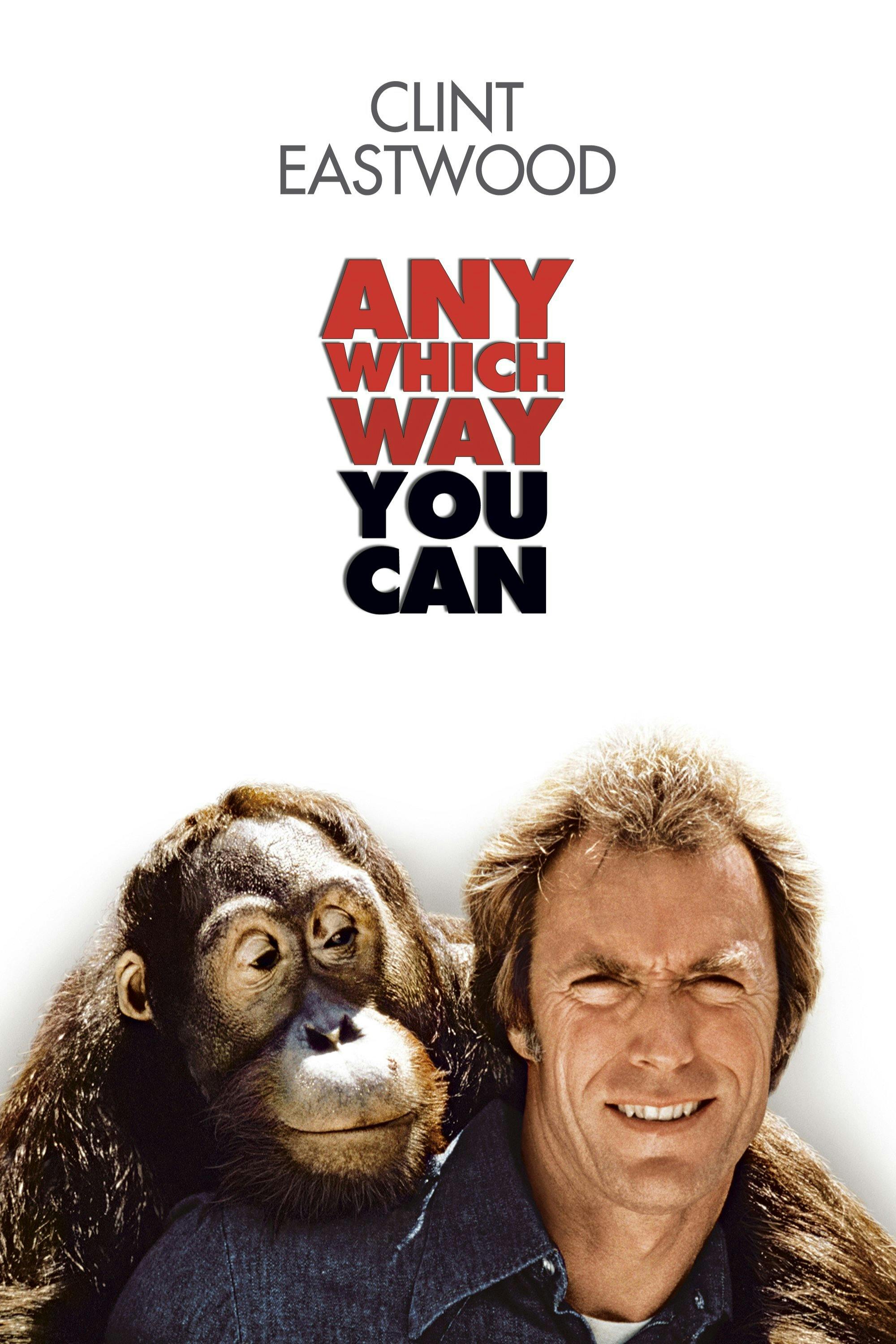 Clint Eastwood Any Which Way You Can (DVD)