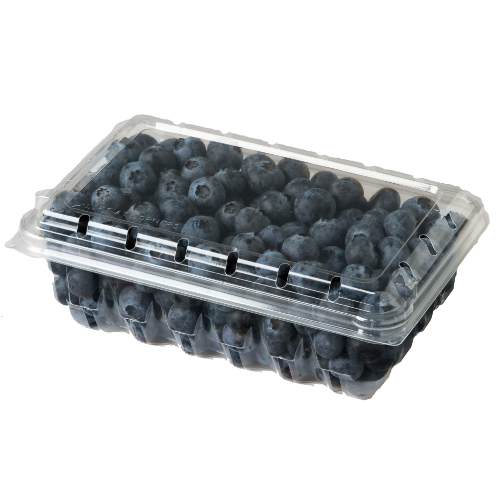 Blueberries