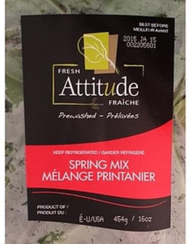 Fresh Attitude Spring Mix 16.00 Oz