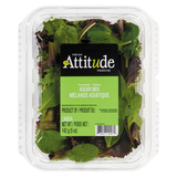 Fresh Attitude Oriental Salad Mix 142 G
