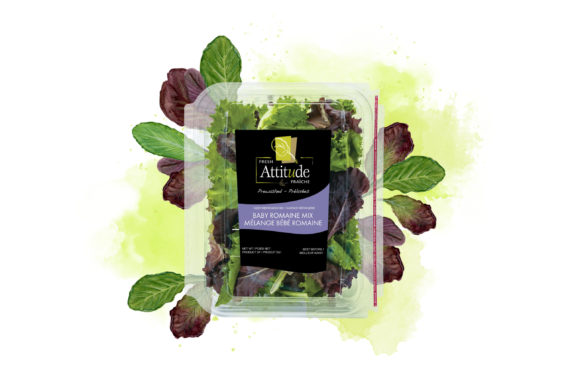 Fresh Attitude Baby Romaine 5 Oz
