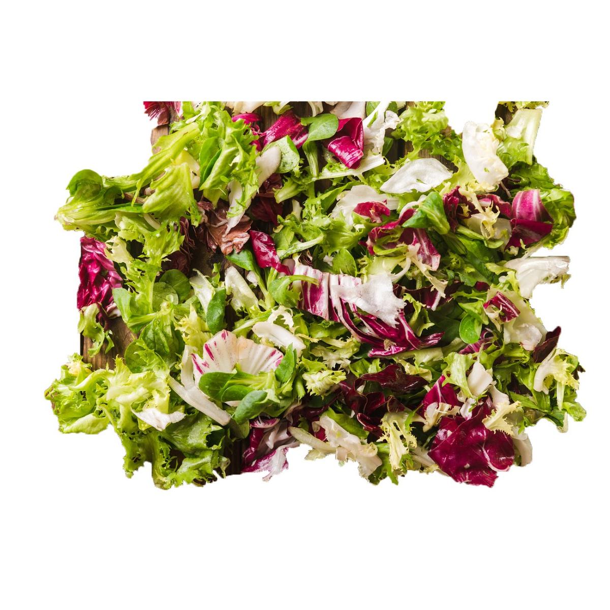 Fresh Attitude Spring Mix, Prewashed 11 Oz