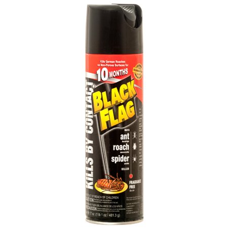 Black Flag Ant & Roach 11oz