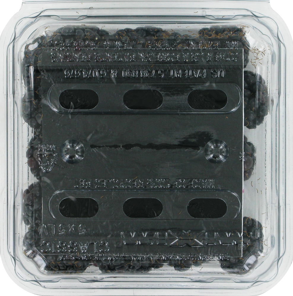 Driscoll's Organic Blackberries