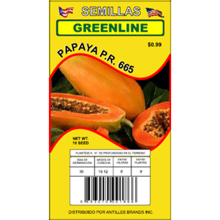 Semillas Papaya PR