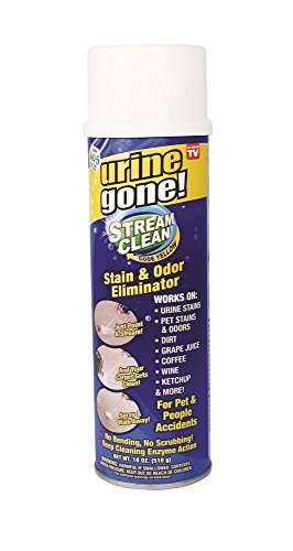 As Seen on TV Stream Clean Stain & Spot Carpet Cleaner, 18-oz