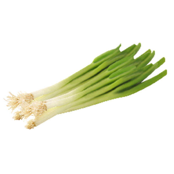 USDA Produce Onions Green Scallions Organic