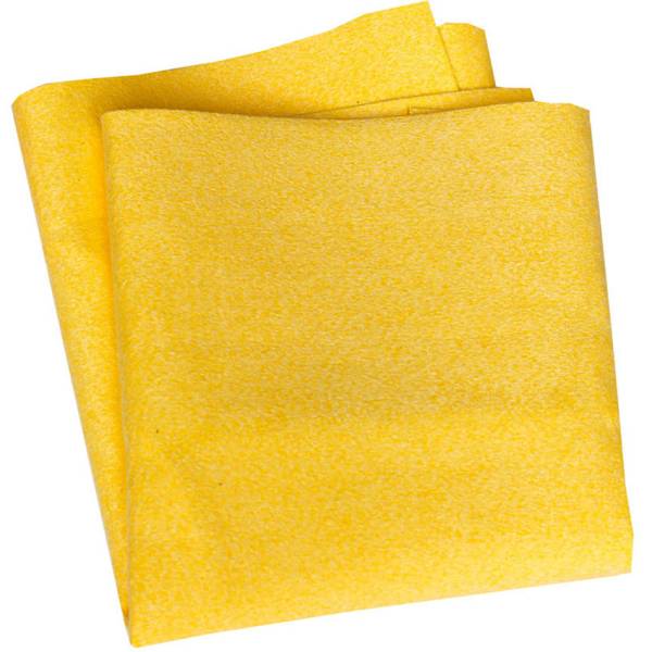 E-Cloth E-auto Dry & Shine