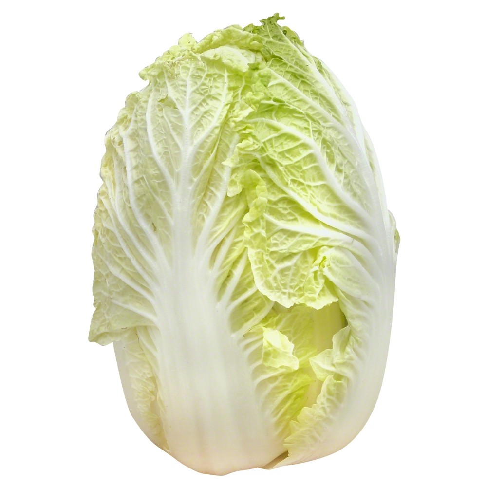Bulk produce Napa Cabbage - Price Per Lb