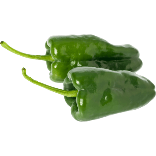 Poblano Pepper