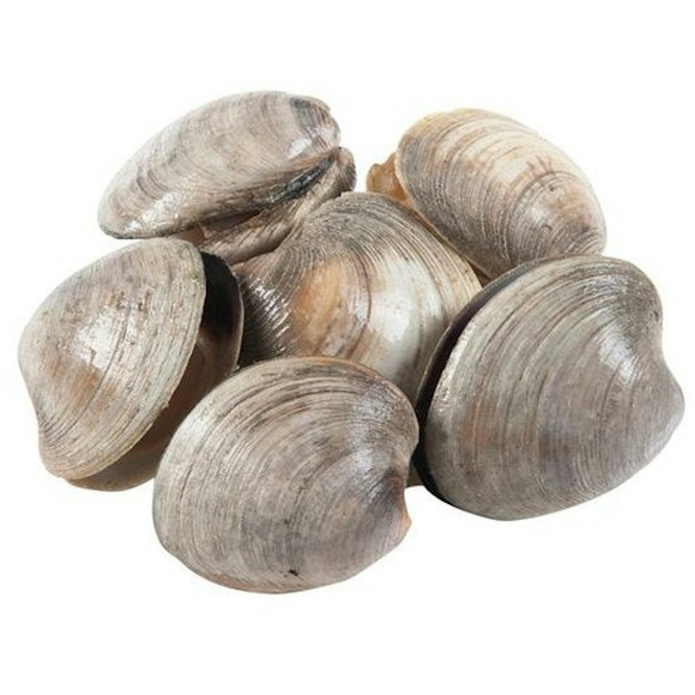 Giant Eagle Wild Littleneck Clams - USA 1