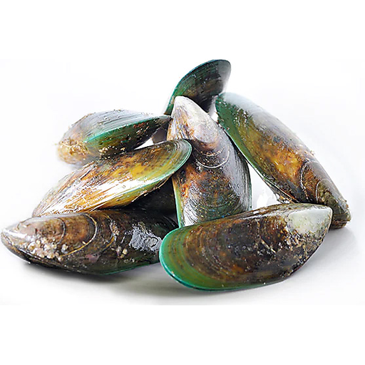 Talleys Group Limited Green Mussels 1/2 Shell Nz