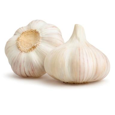 Garlic Girl Premium Peeled