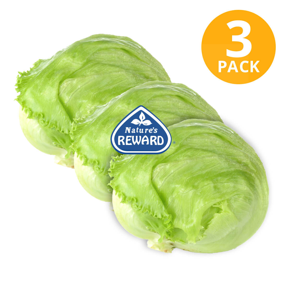 Produce Lettuce, Head/Iceberg