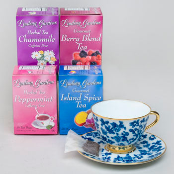 Regent Products Corp Herbal Tea Cinnamon Spice