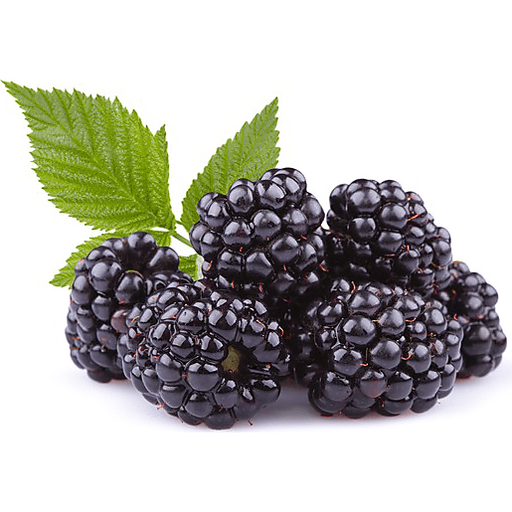 Fresh Blackberries