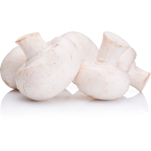 Highline 16 Ounce Whole White Mushrooms