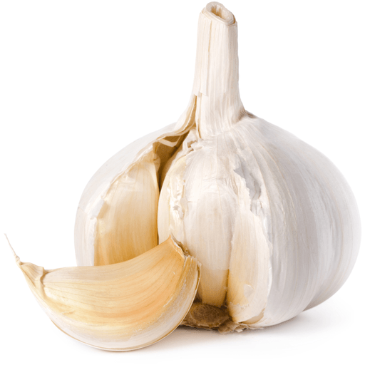 Fresh Garlic