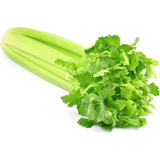 Pascal Superior Celery