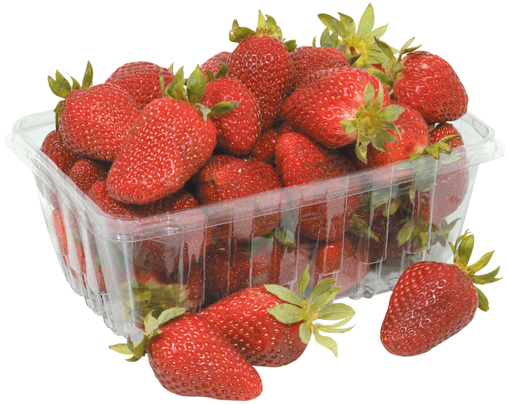 Driscoll Fresh Produce Strawberries 16.00 Oz