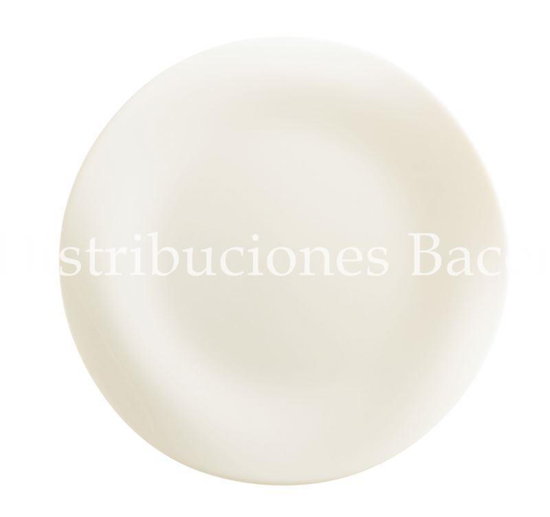 Arcoroc Plate TENDENCY