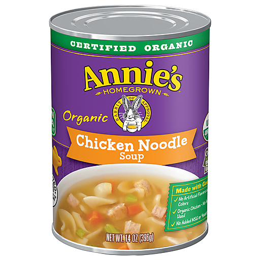 Annie's Organic Chicken Noodle Soup - 14oz
