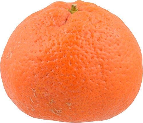 Produce Seedless Mandarin Clementine Oranges In