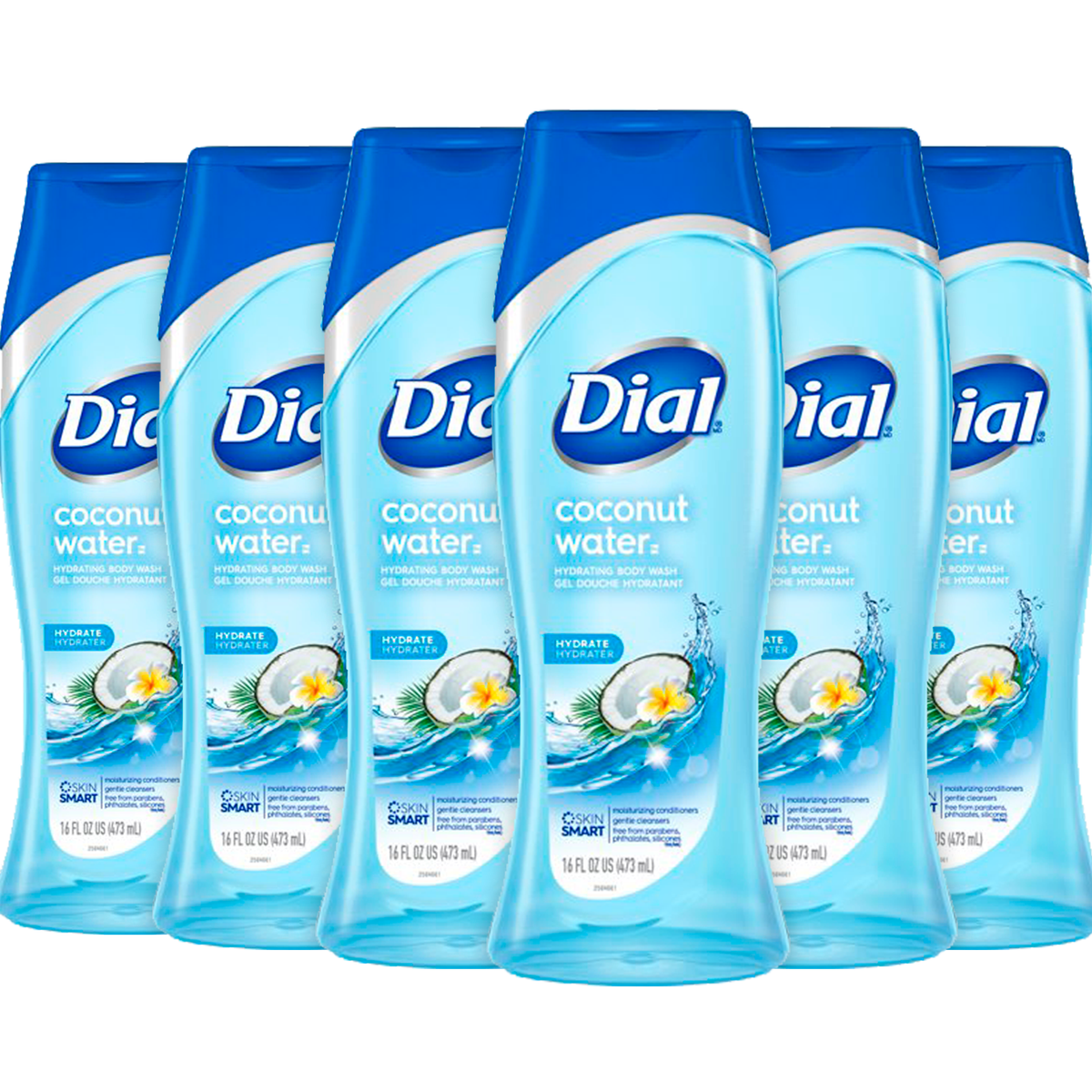 Dial Body Wash, Coconut Water Scent 16 Fl Oz