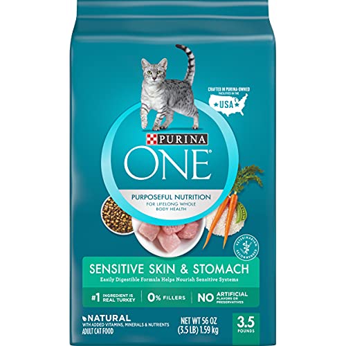 Purina ONE ONEÂ Sensitive Skin & Stomach Natural Adult Cat Food