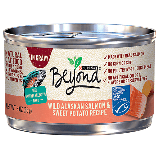 Beyond Grain Free Salmon & Sweet Potato Recipe In Gravy Wet Cat Food