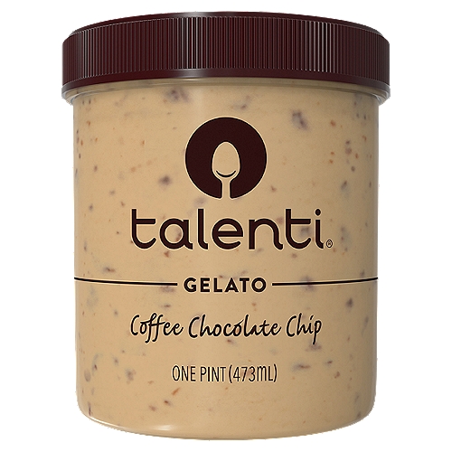 Talenti Gelato, Coffee Chocolate Chip 1 Pt